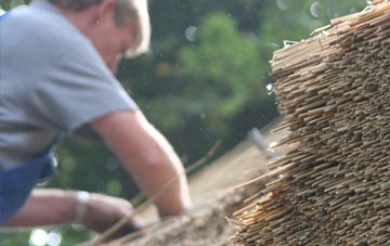 professional Pontrobert thatchers